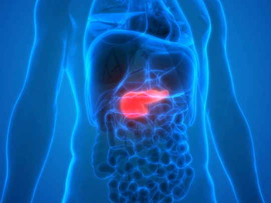 Pancreas Diseases